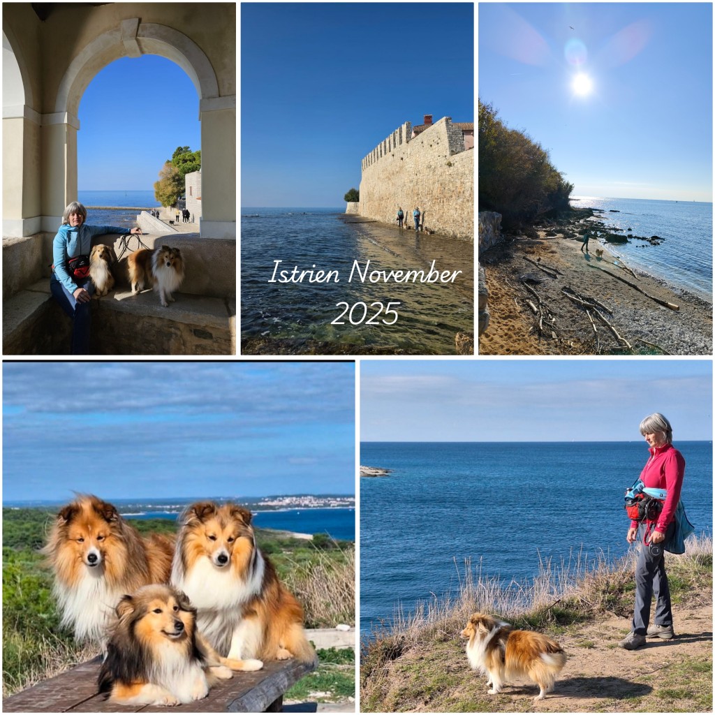 photocollage_2025112016143244