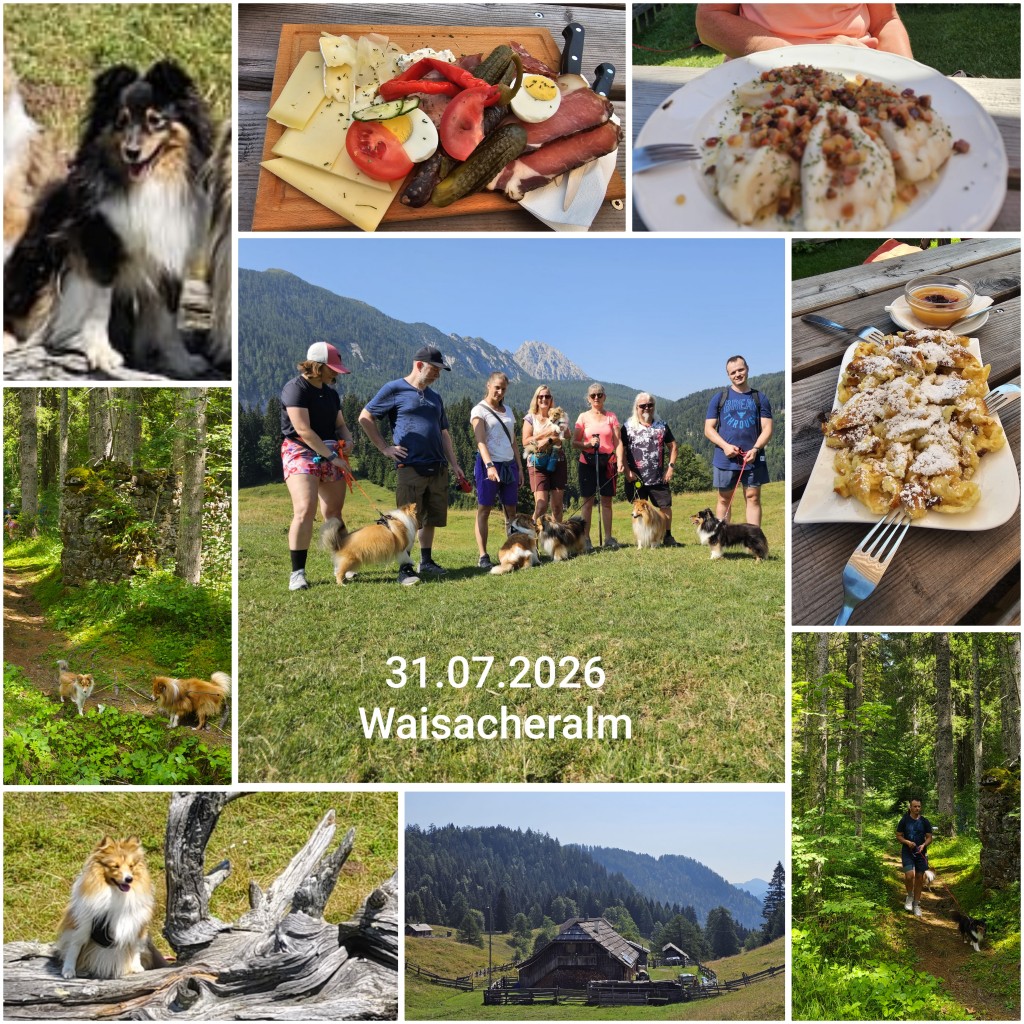 photocollage_2026731174630957