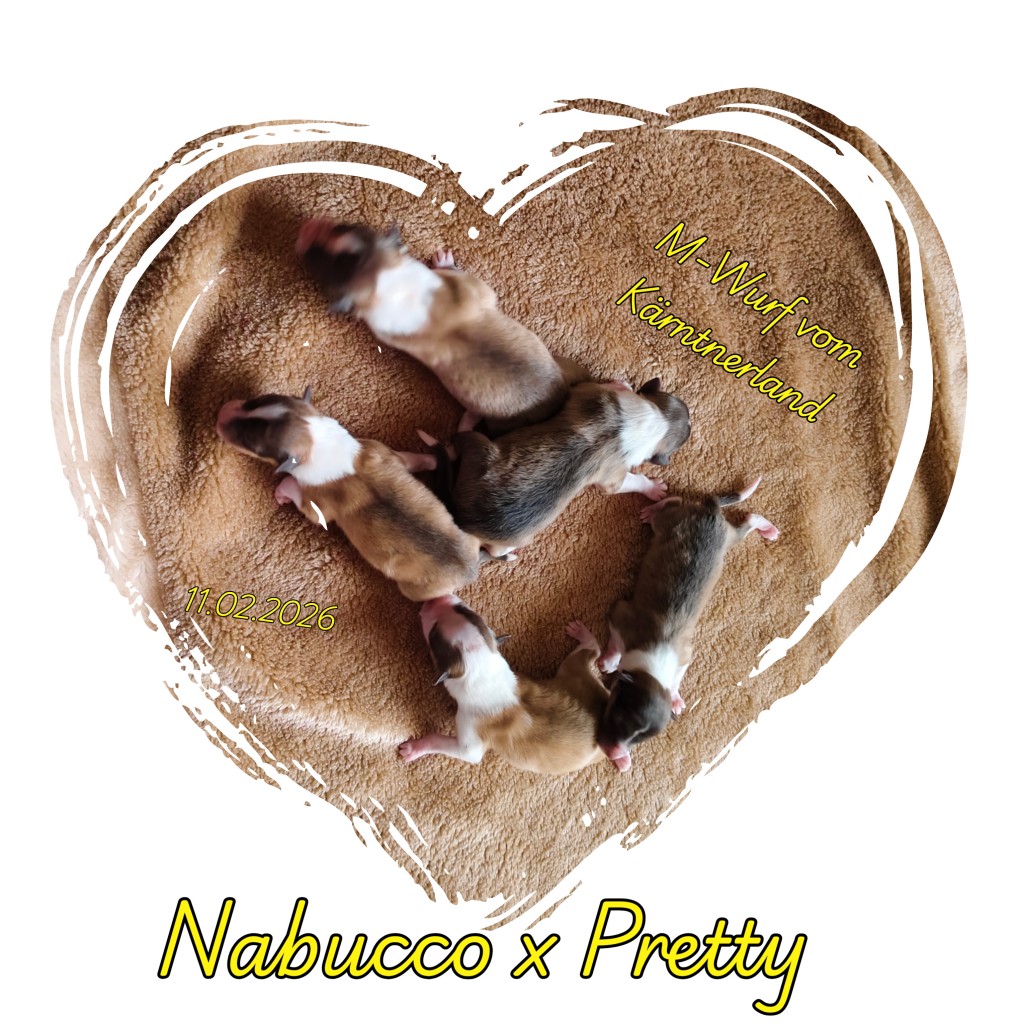 photocollage_202621111109292