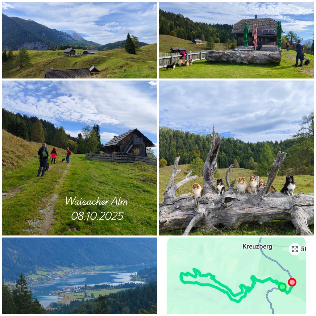 photocollage_2025108204835128