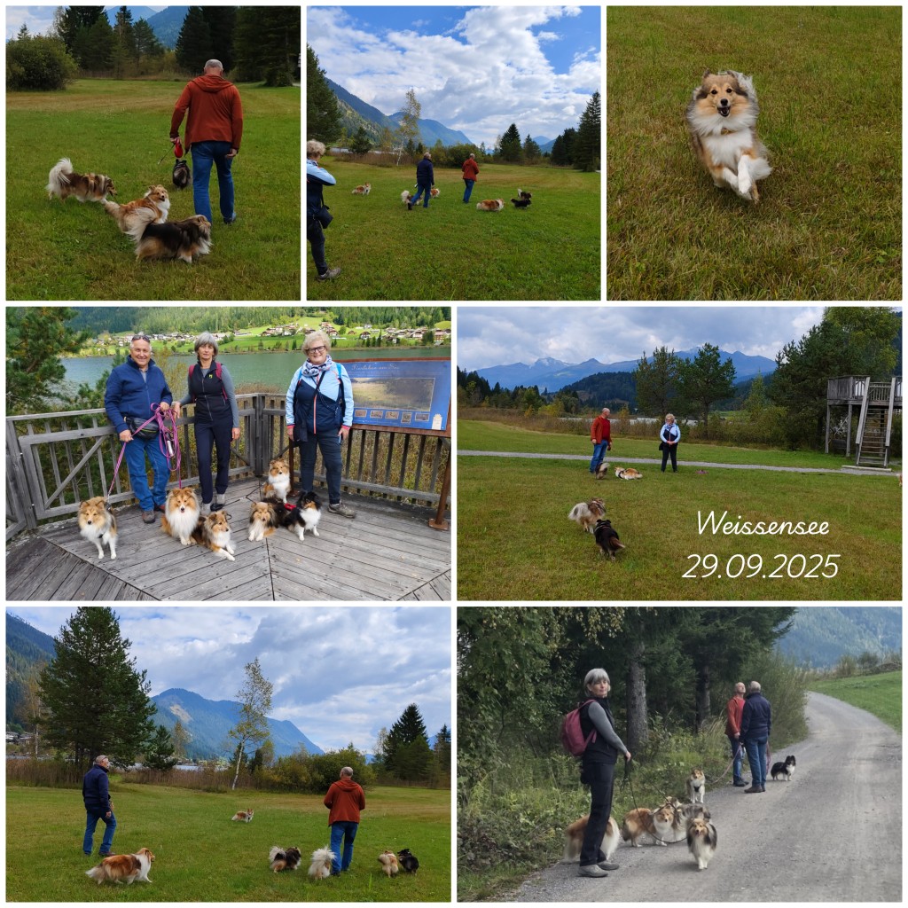photocollage_2025929171548325
