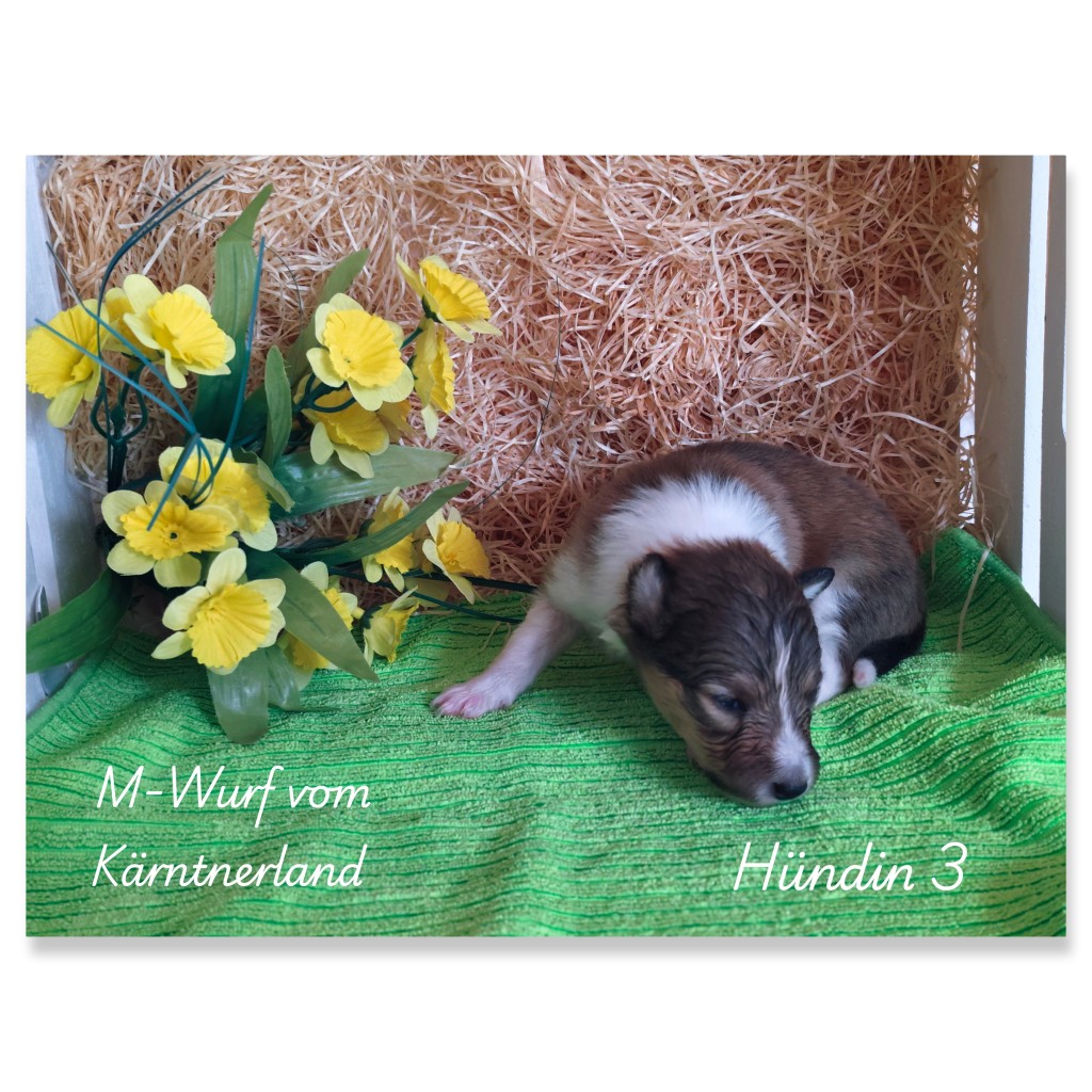 photocollage_202622516857723