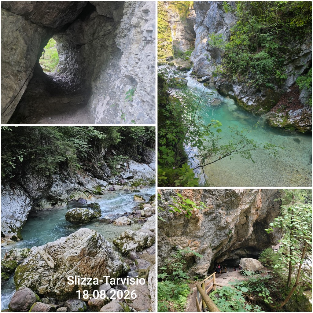 photocollage_202681920358760